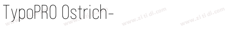 TypoPRO Ostrich字体转换